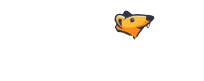 townhustle.com logo